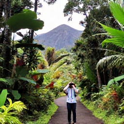 Caribbean Holidays, Montserrat Birdwatching, A quiet forest trail on Montserrat in December, with tropical foliage, volcanic hills and a birder carrying binoculars