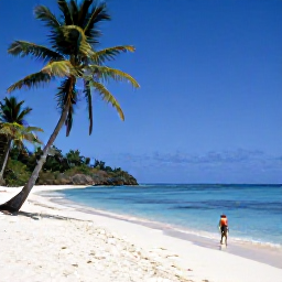 Caribbean Holidays, Montserrat Diving, Relaxed Caribbean beach on Montserrat with calm sea, palm trees and a snorkeller near the shore