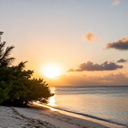 Caribbean Holidays, Nature Holidays, Sunset over a quiet Turks and Caicos beach with mangroves and calm Caribbean water