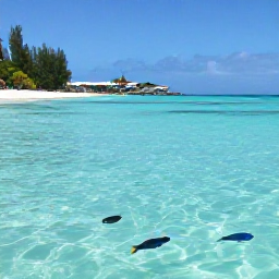 Caribbean Holidays, November Beaches, Snorkeller viewing colourful fish in clear shallow water beside a tropical beach on Saint Barth&eacute;lemy