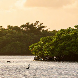 Caribbean Holidays, November Birdwatching, Birder exploring a peaceful Caribbean wetland at sunrise with binoculars, mangroves and wading birds