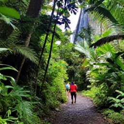 Caribbean Holidays, November Escapes, Lush rainforest trail leading to a waterfall on Saint Vincent, with travellers exploring in November