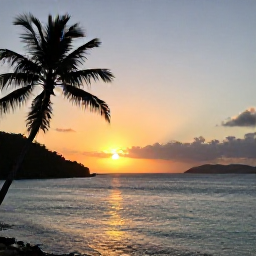 Caribbean Holidays, November Honeymoons, Golden sunset over calm turquoise water and silhouetted palm trees in the British Virgin Islands