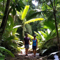 Caribbean Holidays, November Honeymoons, Newlyweds exploring lush Tobago rainforest with a knowledgeable guide, tropical plants, sunlight through the canopy and a small waterfall