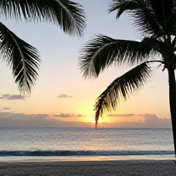 Caribbean Holidays, October Instagram Spots, Quiet October sunset over the Caribbean Sea from a beach in Saint Vincent and the Grenadines, with silhouetted palms and gentle waves