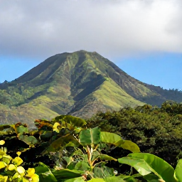 Caribbean Holidays, October Nature Holidays, Lush volcanic slopes and tropical forest on Saint Kitts beneath a bright October sky