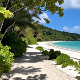 Caribbean Holidays, October Tours, A quiet tropical trail in Virgin Islands National Park on St John, leading through green forest towards a white sandy beach and clear blue water