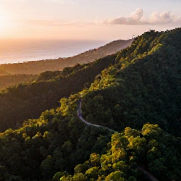 Caribbean Holidays, Puerto Rico Adventure, Aerial view of Puerto Rico&rsquo;s lush El Yunque rainforest, winding trails and distant Caribbean coastline in warm October light