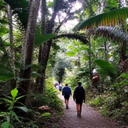 Caribbean Holidays, Puerto Rico Adventure, Hikers walking through lush El Yunque rainforest in Puerto Rico, with tropical foliage, a clear trail and soft morning light