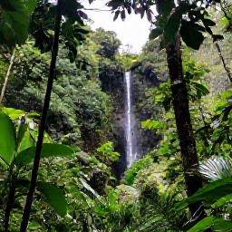 Caribbean Holidays, Puerto Rico Backpacking, Backpackers hiking through El Yunque rainforest in July, surrounded by lush green foliage, tropical trees and a small waterfall
