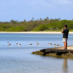 Caribbean Holidays, Puerto Rico Birdwatching, Birdwatcher observing wading birds beside a calm coastal lagoon in Puerto Rico