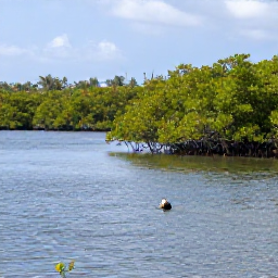 Caribbean Holidays, Puerto Rico Birdwatching, Wetland birdwatching beside a calm lagoon and mangrove shoreline in Puerto Rico