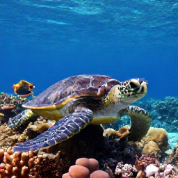 Caribbean Holidays, Puerto Rico Diving, A close underwater view of a green sea turtle, tropical reef fish and healthy coral near Puerto Rico
