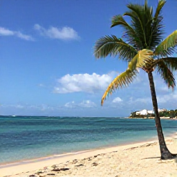 Caribbean Holidays, Puerto Rico February, Sunny Puerto Rican beach in February with calm turquoise water, palm trees and a relaxed all-inclusive holiday atmosphere