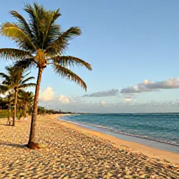 Caribbean Holidays, Puerto Rico Fly Drive, Golden sandy beach in Puerto Rico with palm trees, gentle turquoise water and a relaxed October afternoon atmosphere