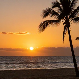 Caribbean Holidays, Puerto Rico Instagram, Golden sunset over Condado Beach and the Atlantic Ocean in San Juan, Puerto Rico, with palm silhouettes