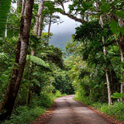 Caribbean Holidays, Puerto Rico Nature, Lush El Yunque National Forest in Puerto Rico, with tropical trees, misty mountains and a clear forest trail