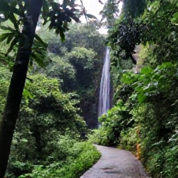 Caribbean Holidays, Puerto Rico October, Lush El Yunque rainforest in Puerto Rico after a light tropical shower, with green foliage, a waterfall and a walking trail