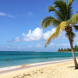 Caribbean Holidays, Puerto Rico Tours, Turquoise Caribbean water, golden sand and palm trees on a beautiful Puerto Rican beach with snorkellers in the distance