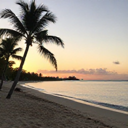 Caribbean Holidays, Puerto Rico Wellness, Quiet palm-fringed beach in Puerto Rico at sunrise, calm Caribbean water and soft golden light