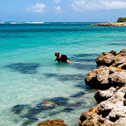 Caribbean Holidays, Saint Barthelemy Beaches, A snorkeller in clear shallow water near a Saint Barth&eacute;lemy beach, surrounded by colourful tropical fish and rocky reefs
