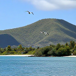 Caribbean Holidays, Saint Kitts Birdwatching, Quiet Saint Kitts coastline with seabirds flying over blue water and green hills