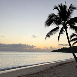 Caribbean Holidays, Saint Kitts September, A calm Caribbean beach near Saint Kitts and Nevis at sunset, with palm trees, smooth water and a quiet September atmosphere