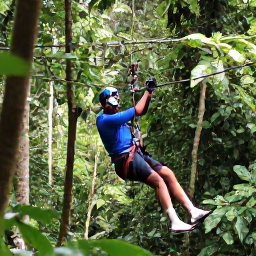Caribbean Holidays, Saint Lucia Adventures, Visitors ziplining through Saint Lucia's rainforest canopy above lush green trees