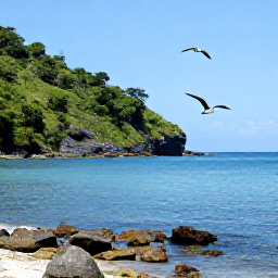 Caribbean Holidays, Saint Lucia Birdwatching, Saint Lucia coastline with seabirds flying over calm blue water, rocky shore and tropical hills