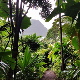 Caribbean Holidays, Saint Lucia Nature, Lush rainforest trail in Saint Lucia during July, with tropical foliage, soft sunlight and a distant mountain view