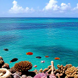 Caribbean Holidays, September Holidays, Snorkeller viewing colourful fish and coral in clear Tobago waters, calm Caribbean sea and tropical underwater life