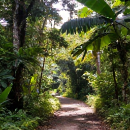 Caribbean Holidays, Trinidad Instagram Spots, Quiet tropical trail through lush rainforest in the Main Ridge Forest Reserve on Tobago, with sunlight filtering through the trees