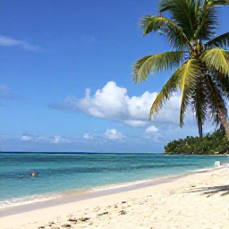 Caribbean Holidays, Trinidad Nature Holidays, Quiet tropical beach and clear turquoise sea in Tobago, palm trees, warm January sunshine and snorkelling conditions