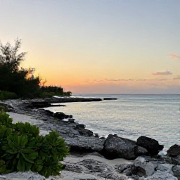 Caribbean Holidays, Turks and Caicos March, Quiet limestone shoreline and native coastal plants at sunset on a Turks and Caicos island, with warm light over the Caribbean Sea