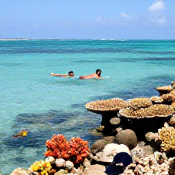 Caribbean Holidays, Turks Caicos Beaches, Visitors swimming and snorkelling above colourful coral and tropical fish in the clear waters near Providenciales