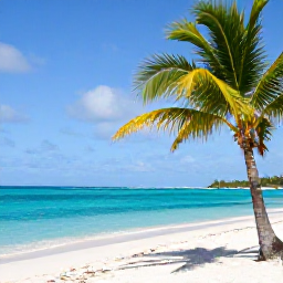 Caribbean Holidays, Turks Caicos February, Bright turquoise sea, white sand beach and native palm trees on Grand Turk, Turks and Caicos, in warm February sunshine