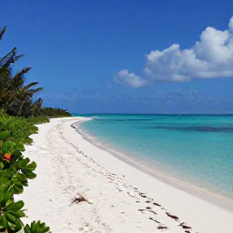 Caribbean Holidays, Turks Caicos Walking, A peaceful coastal walking trail beside turquoise water and white sand on Providenciales, Turks and Caicos