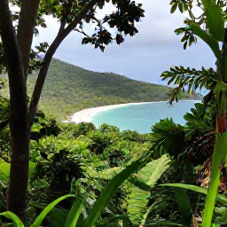 Caribbean Holidays, US Virgin Islands Tours, Guided nature walk through lush tropical forest in Virgin Islands National Park on St John, with a view of a sandy bay