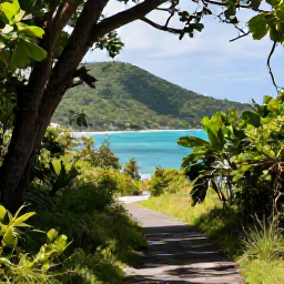 Caribbean Holidays, US Virgin Islands Walking Holidays, A scenic coastal walking trail through tropical forest on St John in the United States Virgin Islands, with turquoise sea and green hills in the background