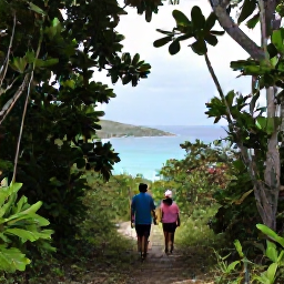 Caribbean Holidays, USVI Adventure Holidays, Hikers walking through tropical woodland on a coastal trail overlooking the sea on St John, US Virgin Islands