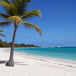 Caribbean Holidays, USVI Beach Holidays, Turquoise Caribbean sea, white sandy beach and palm trees on a sunny November day in the United States Virgin Islands