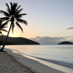 Caribbean Holidays, USVI Wellness May, Quiet white-sand beach in the United States Virgin Islands at sunrise, calm turquoise water and palm trees
