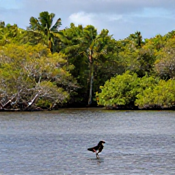 Caribbean Holidays, Virgin Islands Birdwatching, Wetland birds and mangrove habitat at Great Pond on Saint Croix, Caribbean landscape